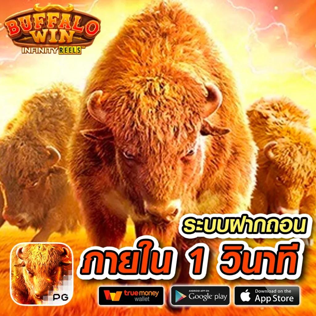 bkbet555สล็อต เว็บตรงใหม่ล่าสุด เกมเดิมพันครบวงจรได้เงินจริง