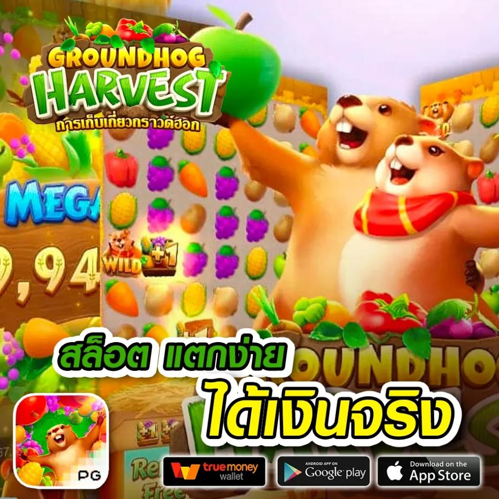เว็บพนันออนไลน์ 888 เว็บตรง พนันครบวงจร ปลอดภัย 100%